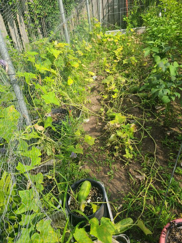 Photo - commentaire&nbsp;3.