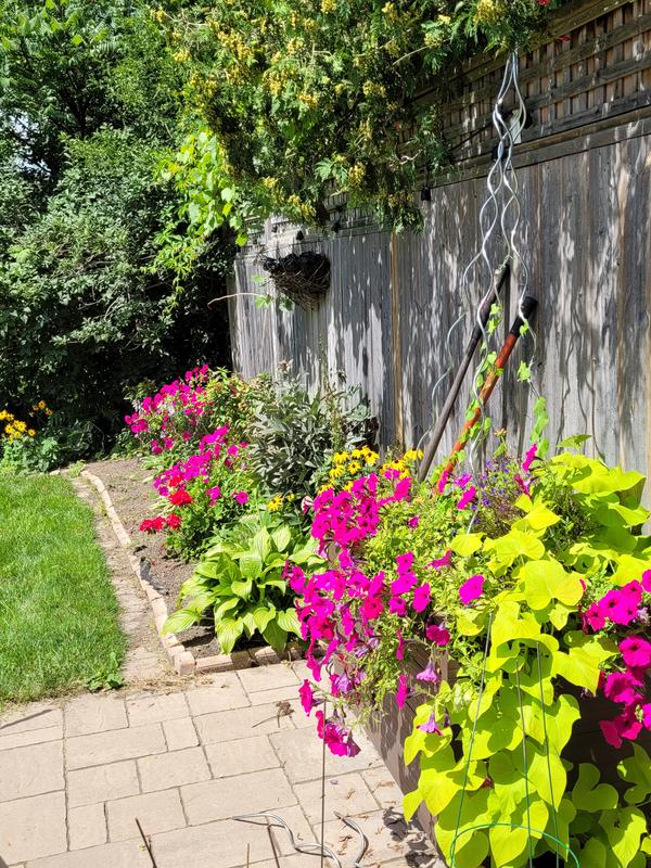 Photo - commentaire&nbsp;5.