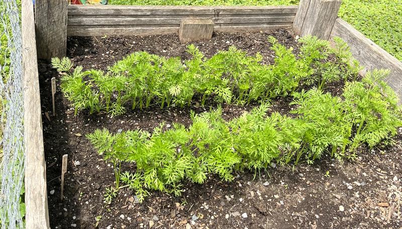 Photo - commentaire 3.