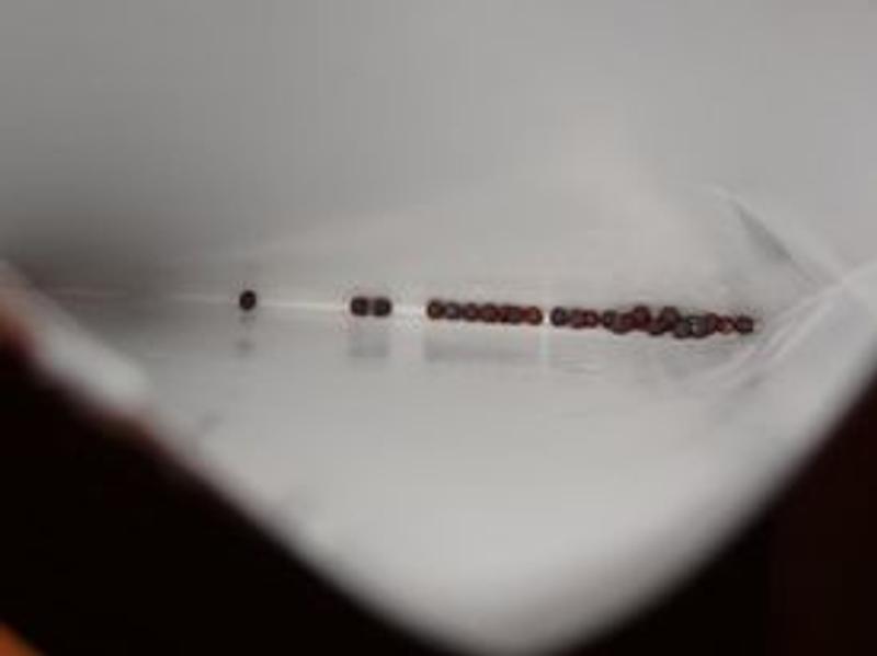 Photo - commentaire&nbsp;2.