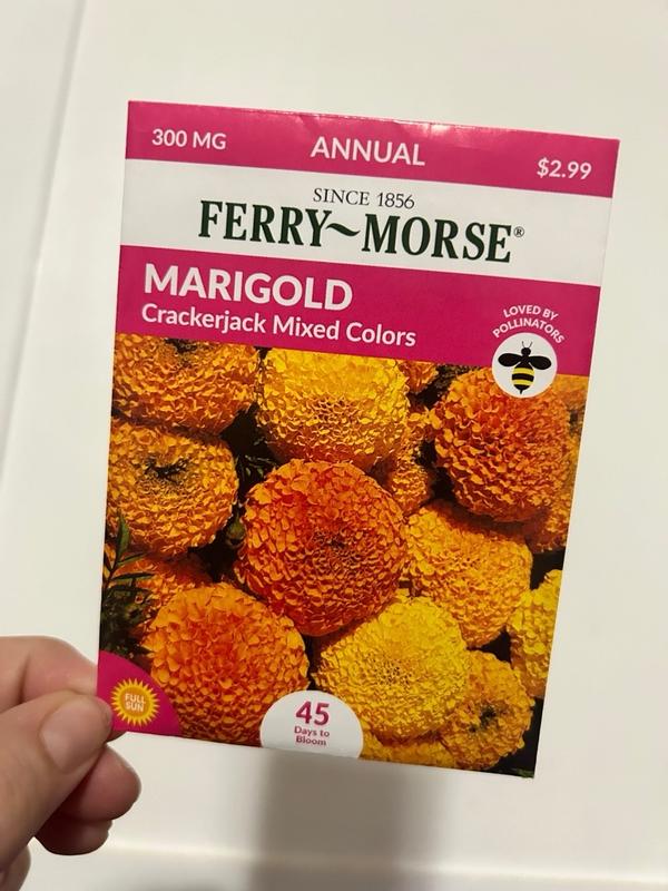 Ferry-Morse Marigold Crackerjack Mixed Colors Flower Seeds 6001 - The Home  Depot