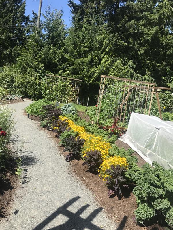 My happy place, is where my garden thrives