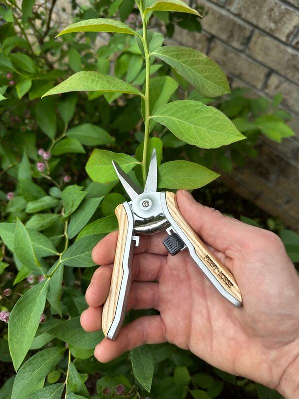 Ferry-Morse Ferry Morse Premium Pruning Garden Snips in the Floral ...