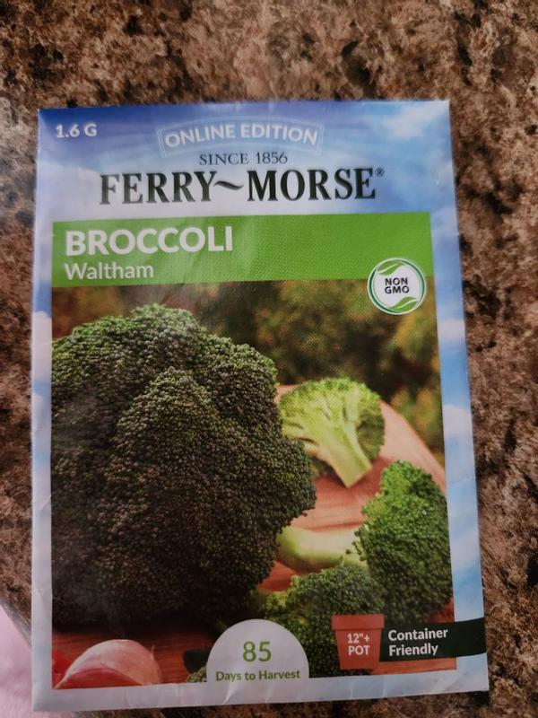 https://photos-us.bazaarvoice.com/photo/2/cGhvdG86Z3JlZW5nYXJkZW5wcm9kdWN0cw/5c0ac982-d35f-5e77-b2c6-7fd33f4514e6