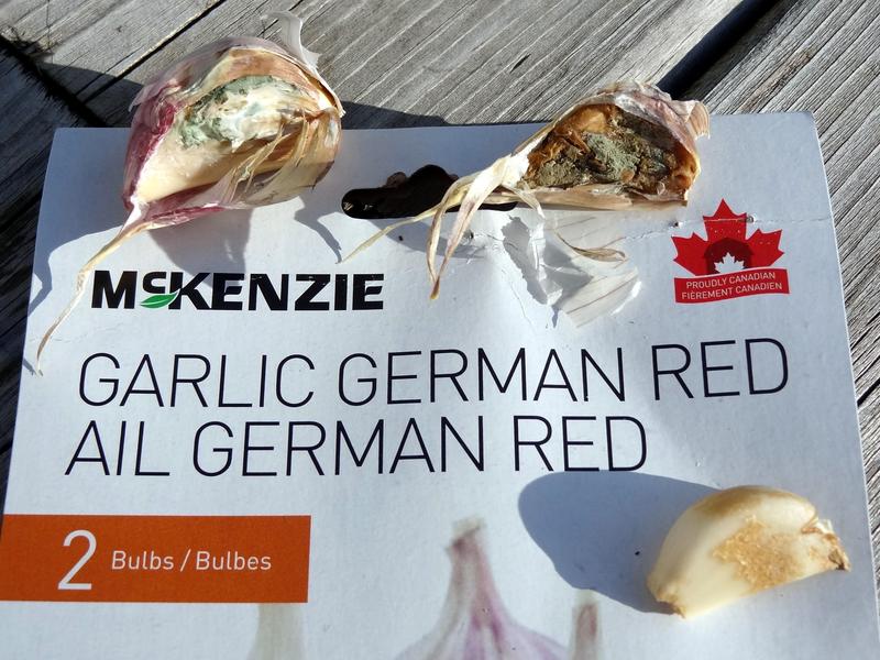 Photo - commentaire&nbsp;4.