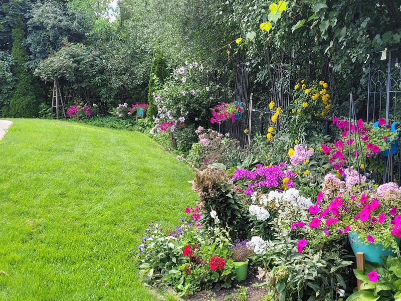 Photo - commentaire&nbsp;6.