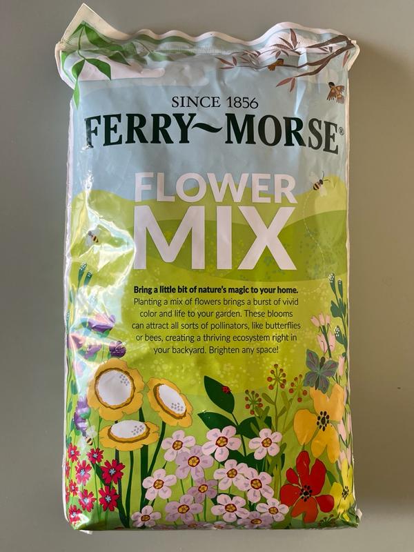 sunflower seeds for planting bulk Bulk Sunflower Seeds (Dwarf) - Bambino