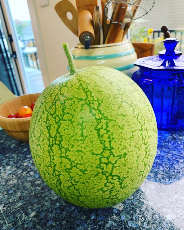 Photo - commentaire&nbsp;7.