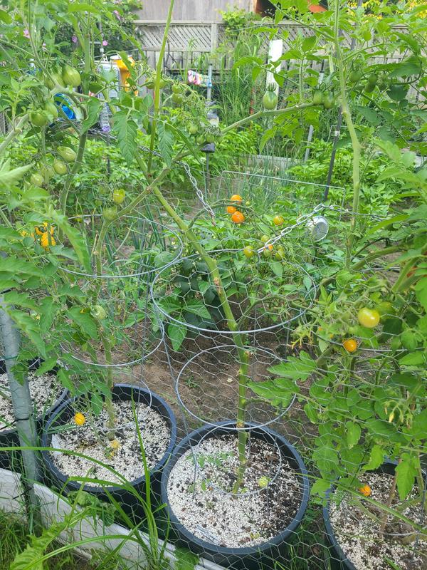 Photo - commentaire 1.