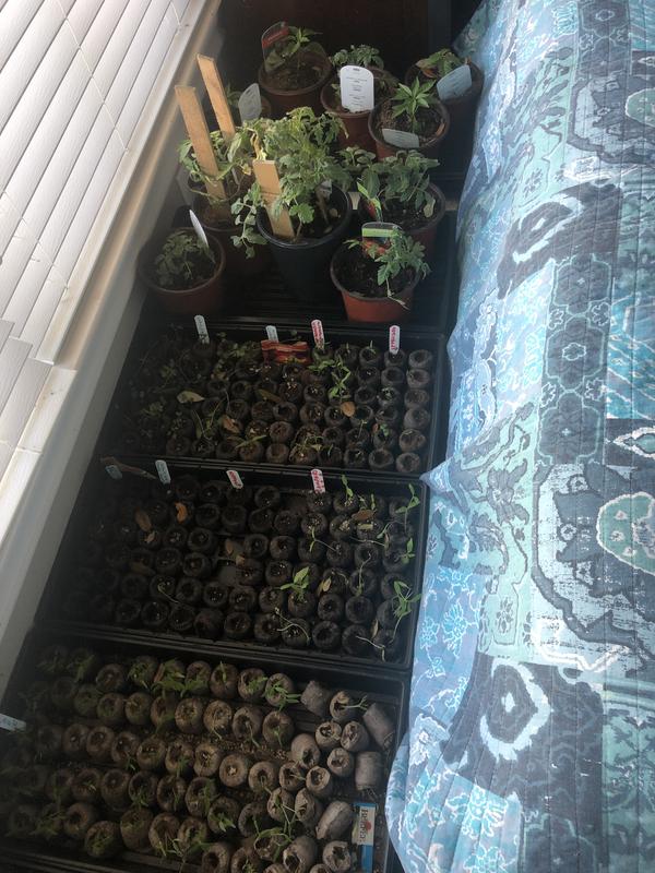 Product works amazingly well to jump start