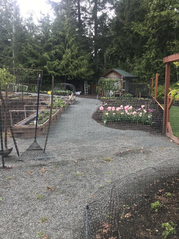 Photo - commentaire&nbsp;6.