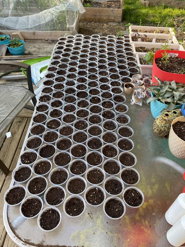 Photo - commentaire 7.