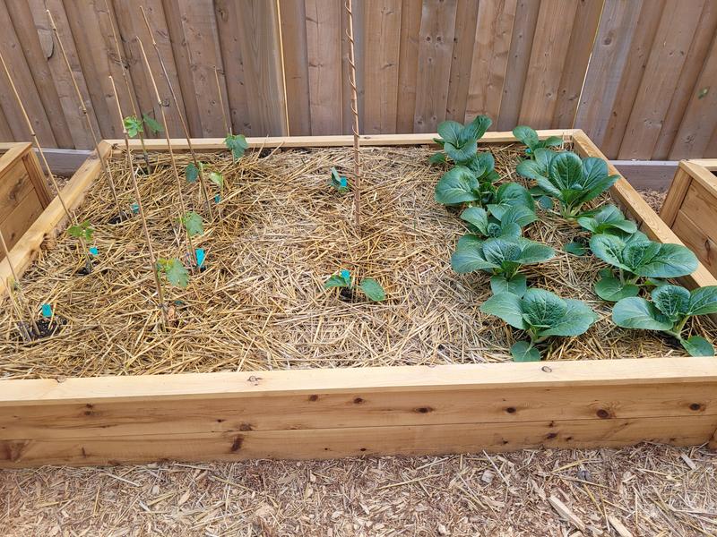 Photo - commentaire&nbsp;1.