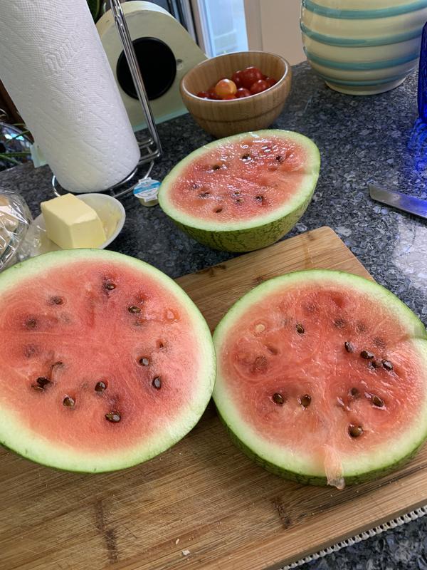 Photo - commentaire&nbsp;8.