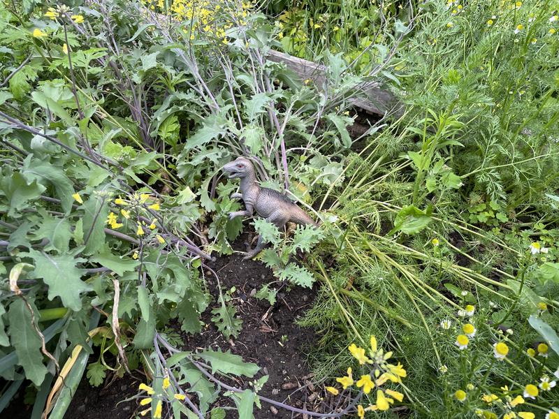 Photo - commentaire&nbsp;3.