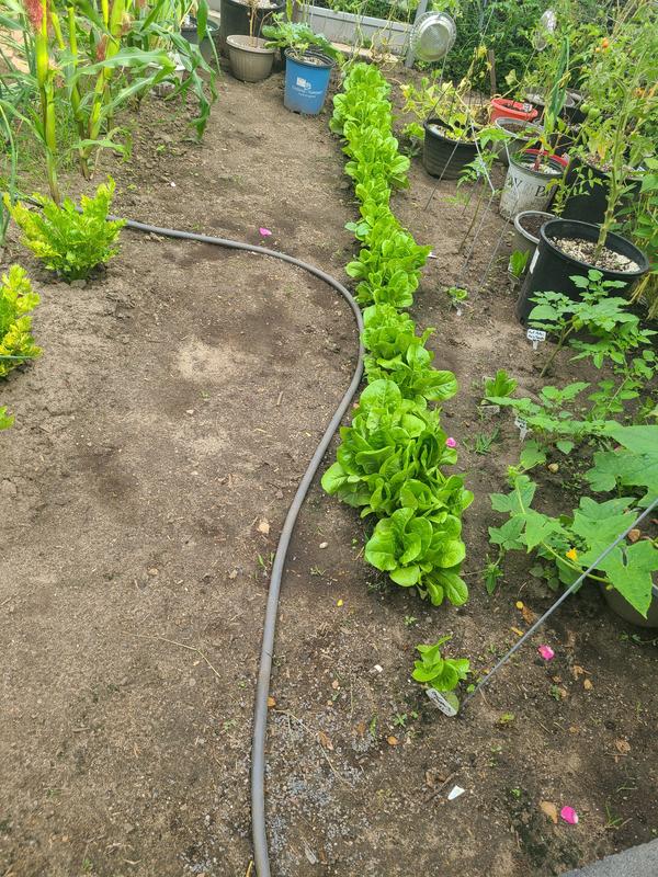 Photo - commentaire&nbsp;1.