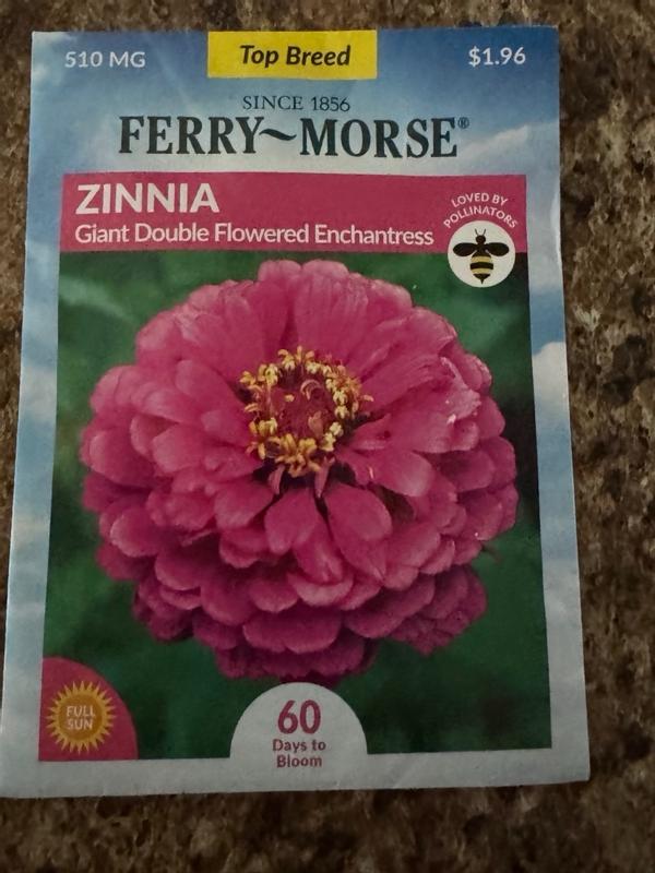 Ferry-Morse Zinnia Giant Double Flowered Enchantress Flower Seeds