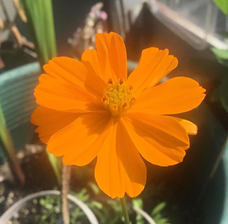 Photo - commentaire&nbsp;1.