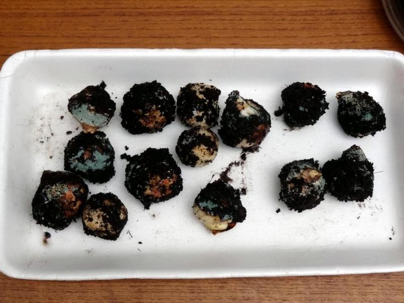 Photo - commentaire&nbsp;3.