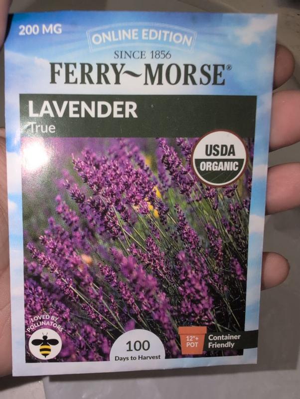Ferry-Morse Organic Lavender Seeds 200 Milligram(s) in the Vegetable & Herb  Seeds department at Lowes.com