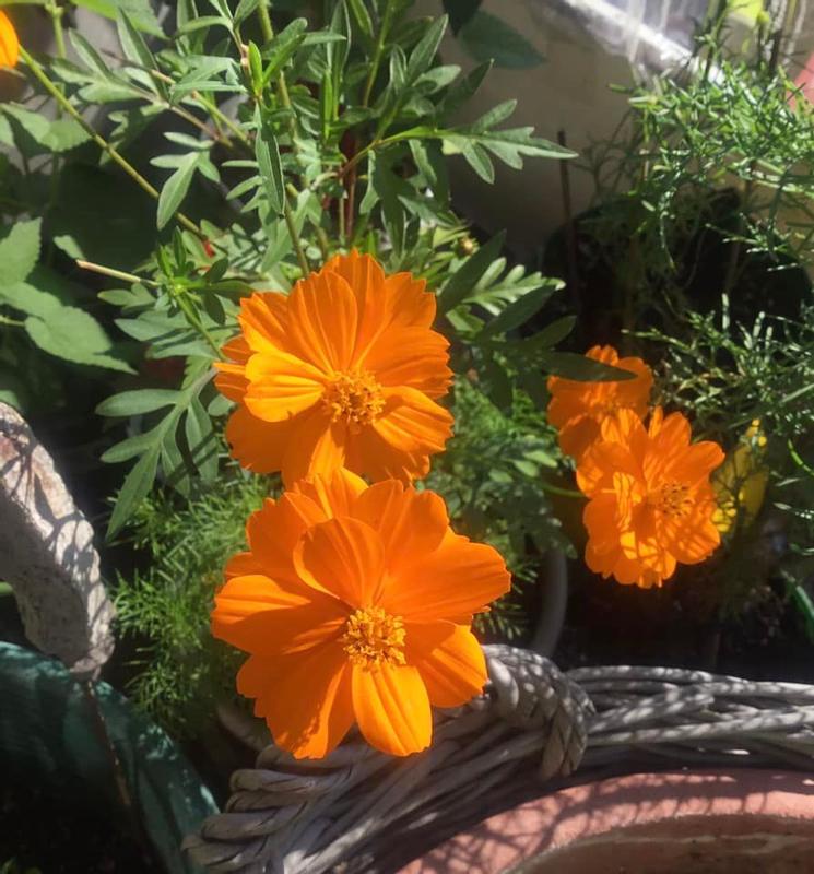 Photo - commentaire&nbsp;3.