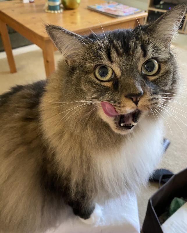 Photo - commentaire&nbsp;1.