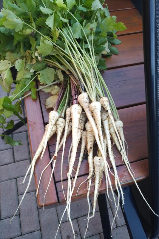 Photo - commentaire 5.