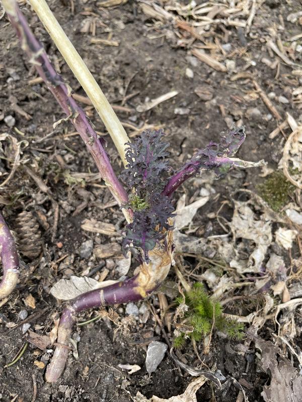 Photo - commentaire&nbsp;4.