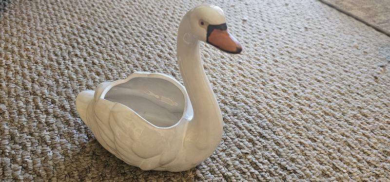 Review Thumbnail Image 1 382564500