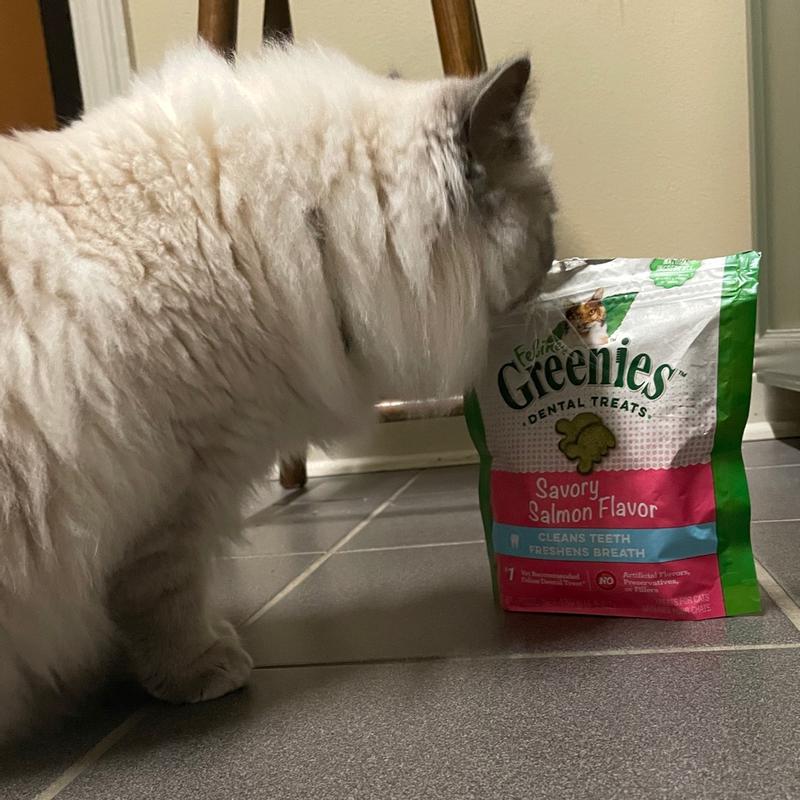 Greenies for cats reviews best sale