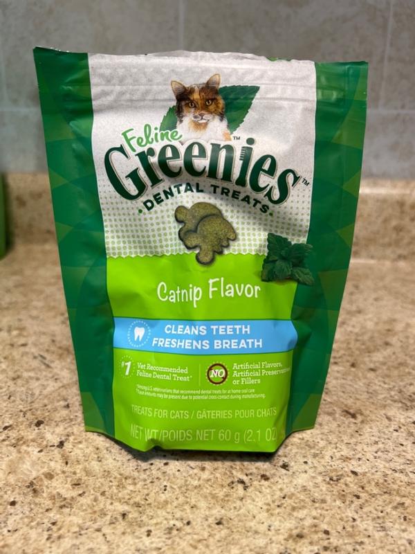 Greenies cat dental treats review online