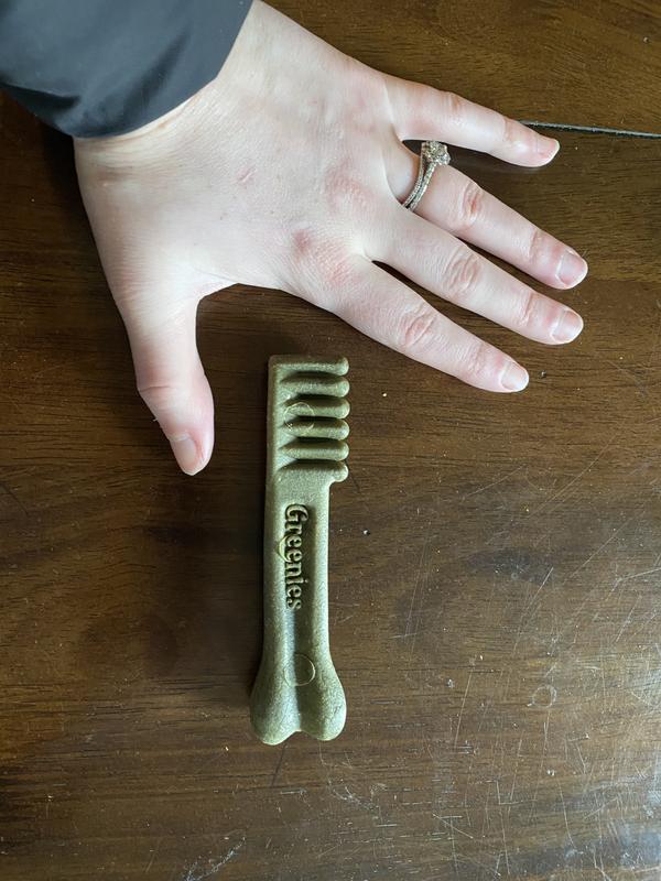 My hand for size comparison