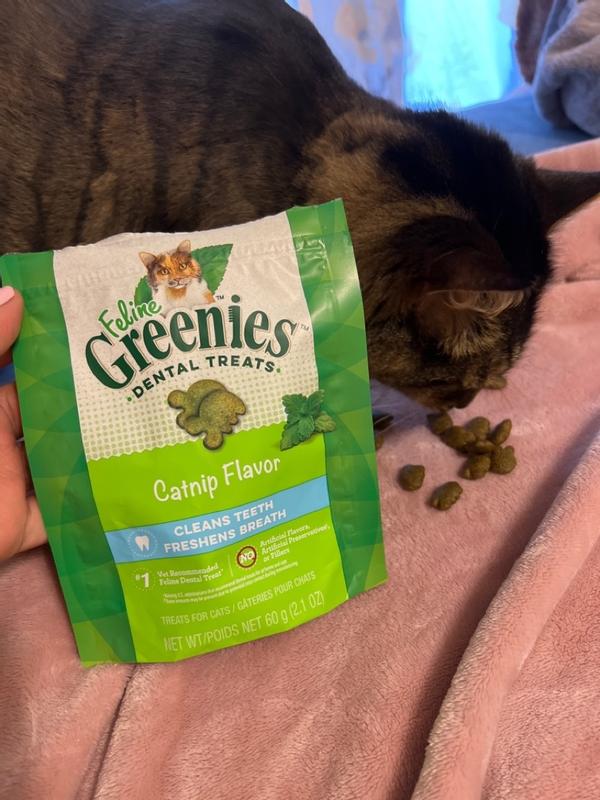 Photo - commentaire 3.