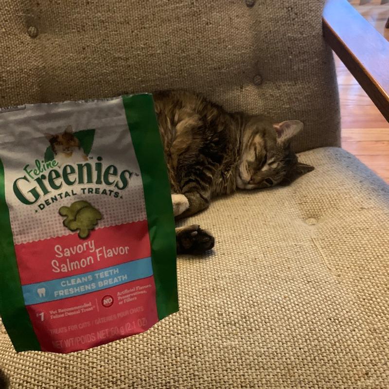 Greenies cat treats clearance reviews