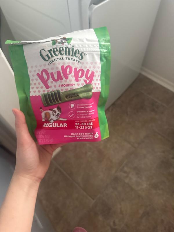 Dental Chews Greenies For Small Dogs Greenies Teenie Grain Free