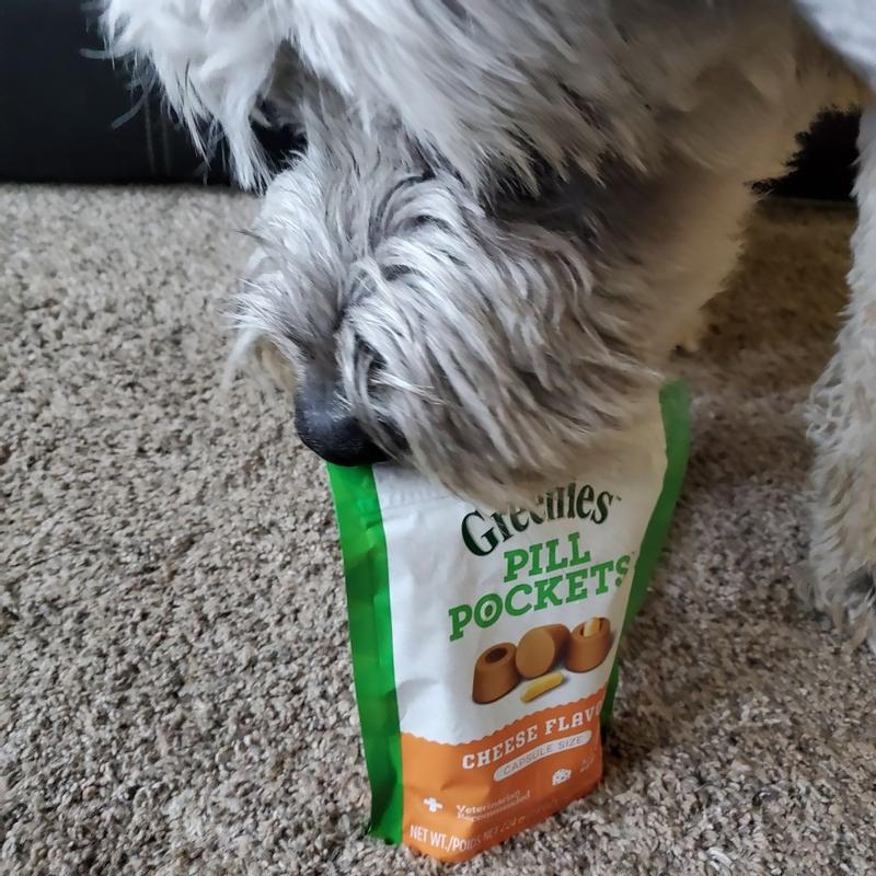 GREENIES PILL POCKETS for Dogs Capsule Size Natural Soft Dog