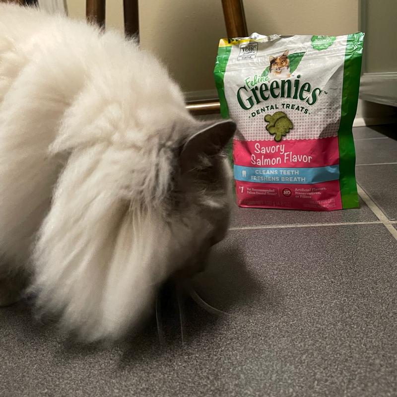 Feline greenies dental treats reviews best sale