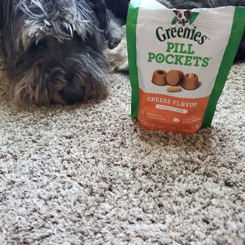 GREENIES PILL POCKETS for Dogs Capsule Size Natural Soft Dog