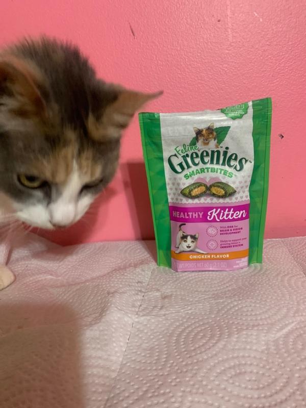 Greenies smartbites bad for cats 2025