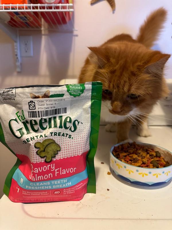 FELINE GREENIES SMARTBITES Skin Fur Crunchy and Soft Textured Adult Natural Cat Treats Salmon Flavor 16 oz. Tub