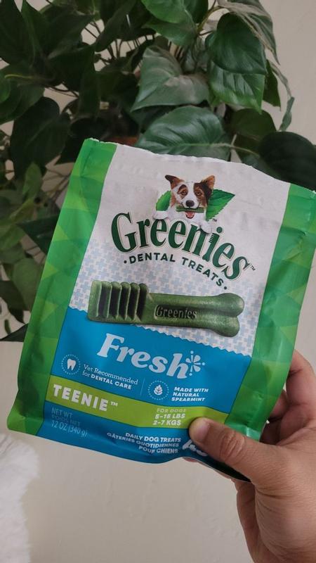 Greenies fresh best sale