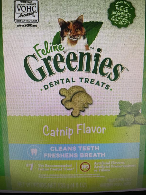 Greenies Pill Pockets Catnip Flavor Natural Soft Cat Treats 1.6 oz. Pack of 45 Petco