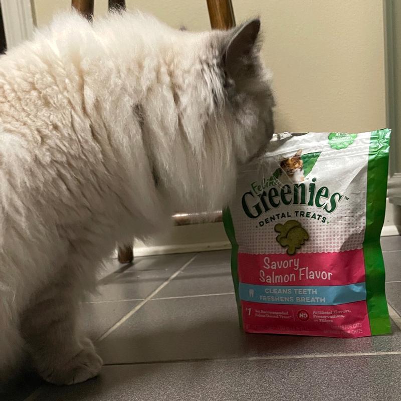 Greenies dental outlet treats reviews