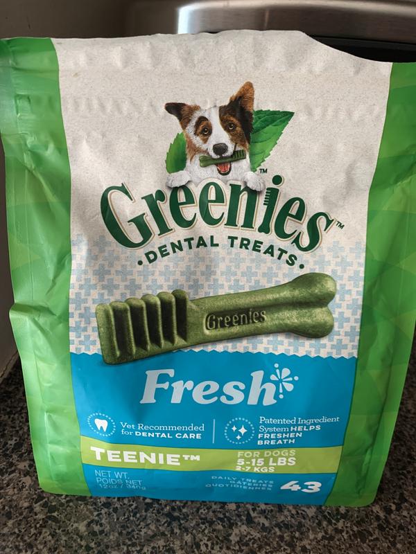 Can I Give Greenies To Puppies