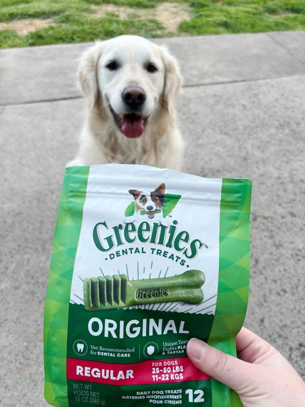 Greenies Original Teenie Natural Dog Dental Care Chews Oral Health Dog Treats, 12 oz., Count of 43 | Petco