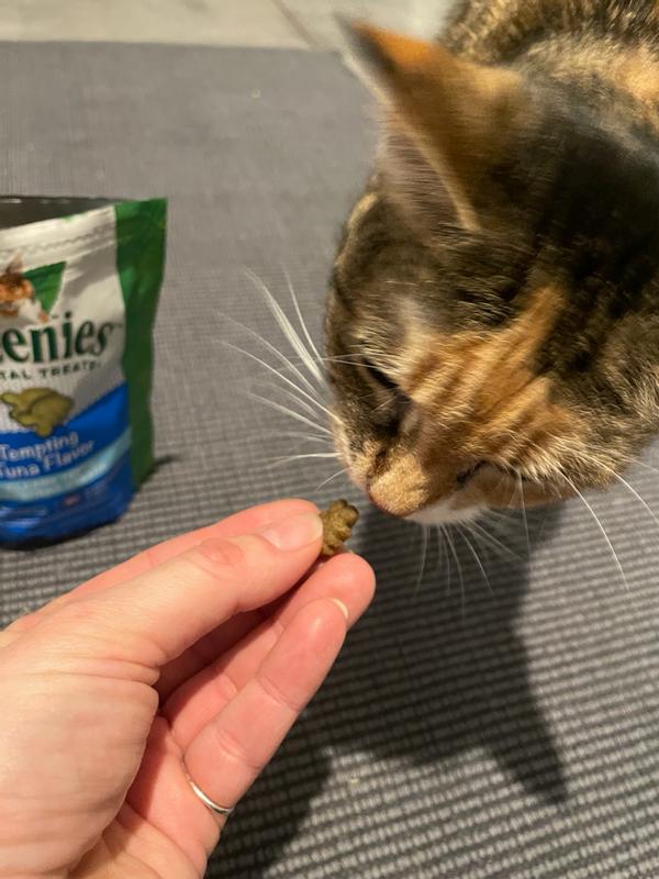 Greenies Dental Treats Tuna