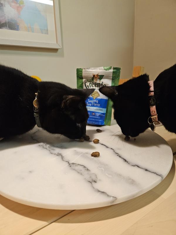 Pippa and Ollie enjoying their treats
