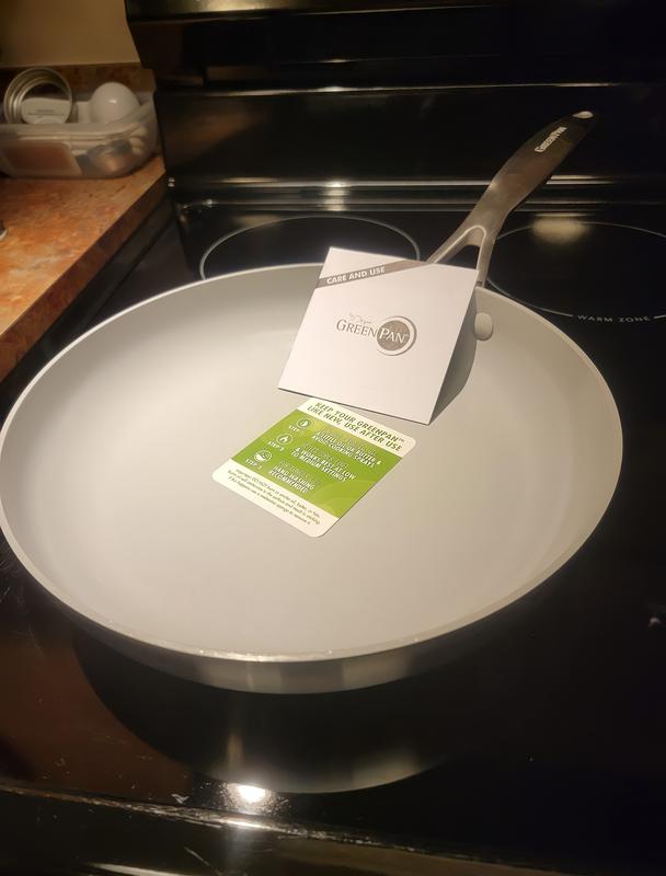 10 in Venice Pro Frypan