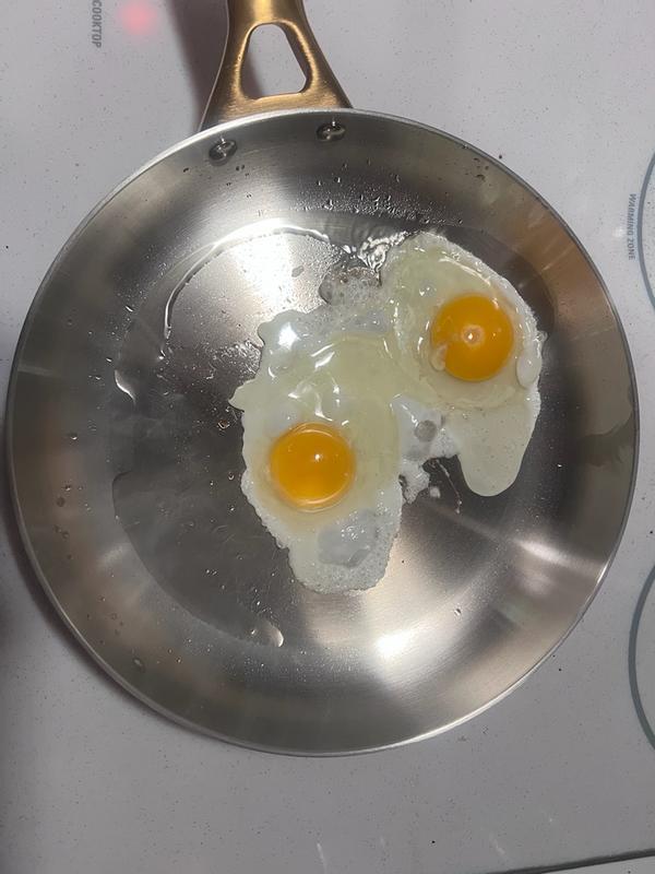 Review Thumbnail Image 0 384666624