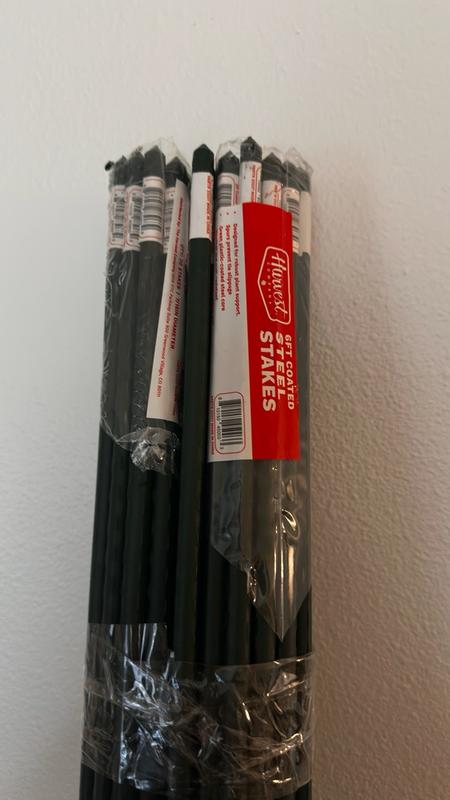 Review photo 8.